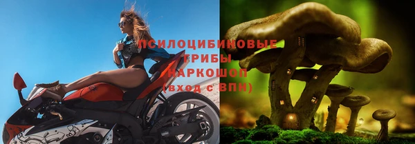 mix Армянск