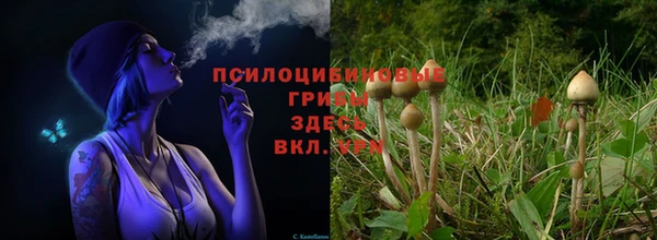 меф Арсеньев