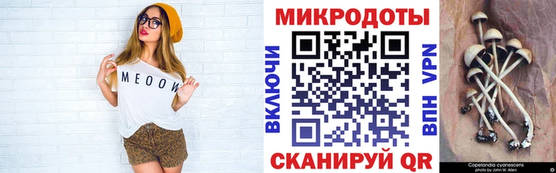 Псилоцибиновые грибы Psilocybine cubensis  Купить  Сертолово 
